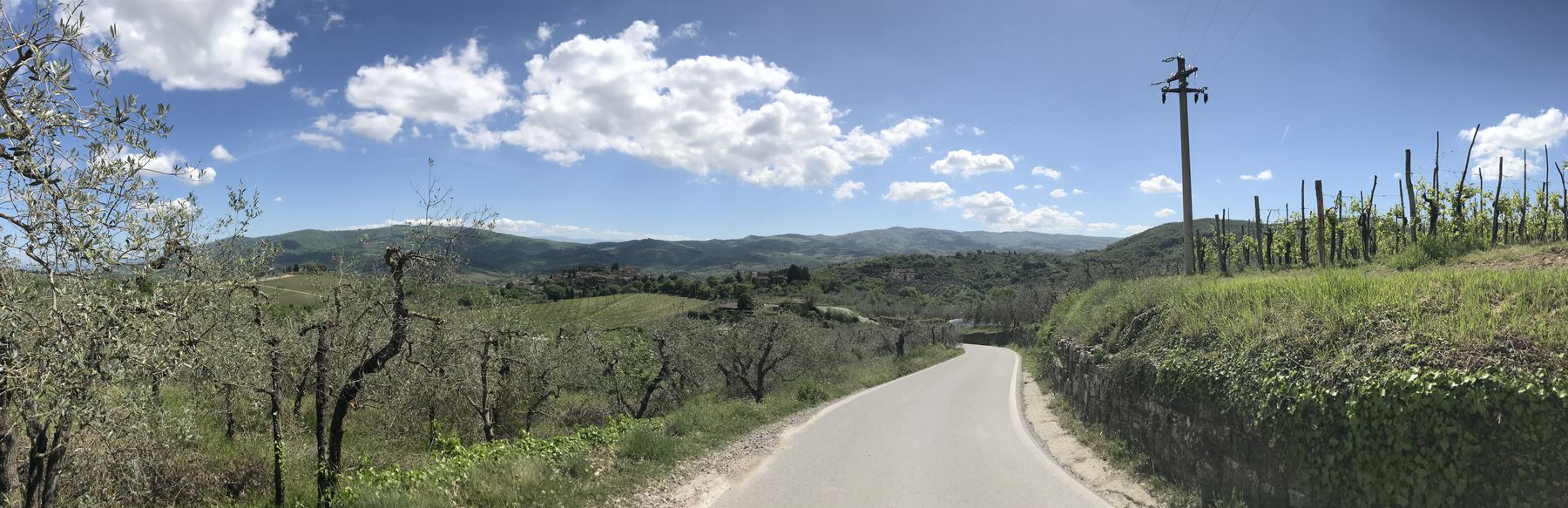 A country road seen from a bike
